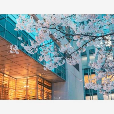 开元体育官网最新版